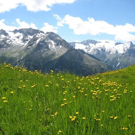 Haus Schlechter 迈尔霍芬