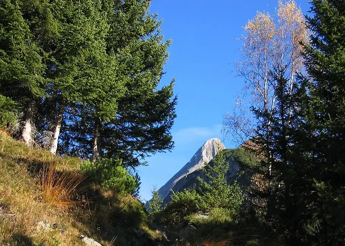 Apartament Haus Schlechter Mayrhofen