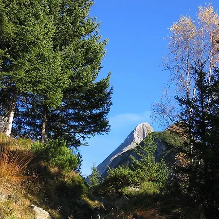 Appartement Haus Schlechter Mayrhofen